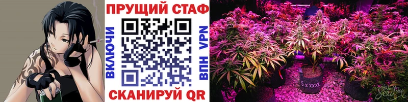 Купить наркоту Велиж Бошки Шишки  Псилоцибиновые грибы  ГАШ  МЕФ 
