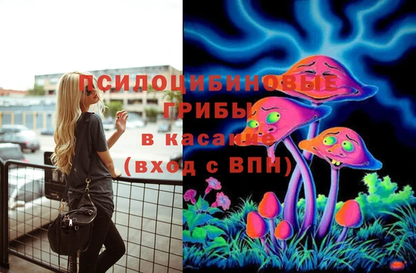 гашиш Богородск